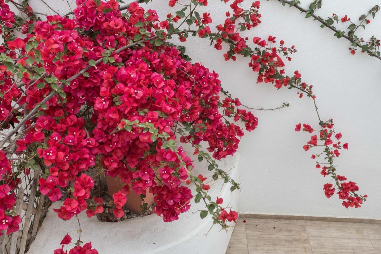 Depis Apartments & Suites Naxos City Exteriér fotografie